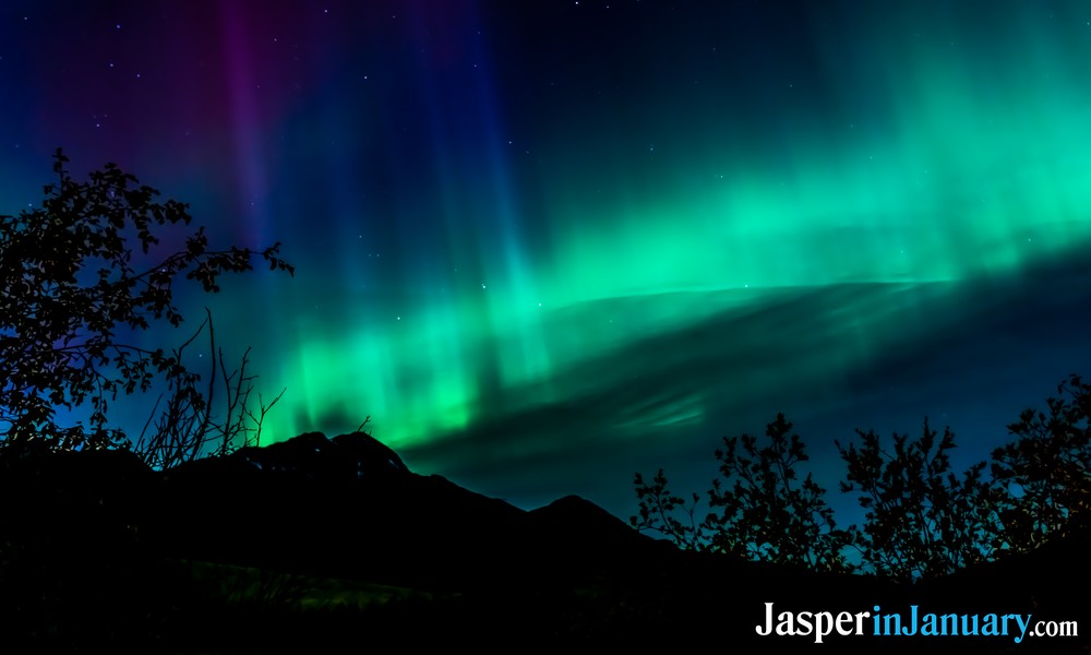 Auroras in Jasper During January