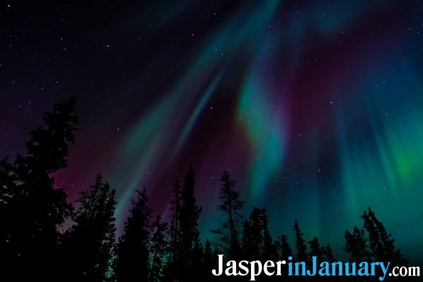 Auroras and Stargazing in Jasper During January