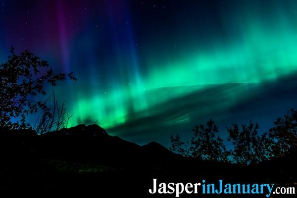 Auroras and Stargazing in Jasper During January