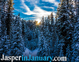 Winter photography in Jasper National Park during January