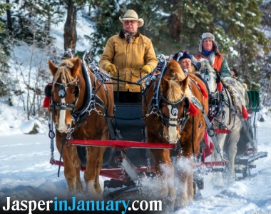 Sleigh rides in Jasper National Park during January